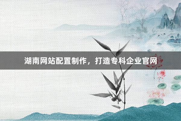 湖南网站配置制作，打造专科企业官网